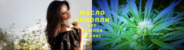 гидра Пестово
