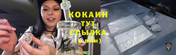 прущая мука Пересвет