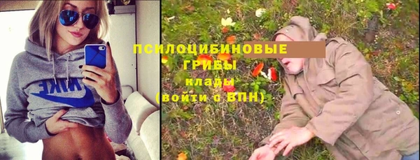 прущая мука Пересвет