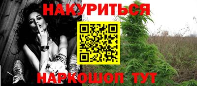 гидра Бийск