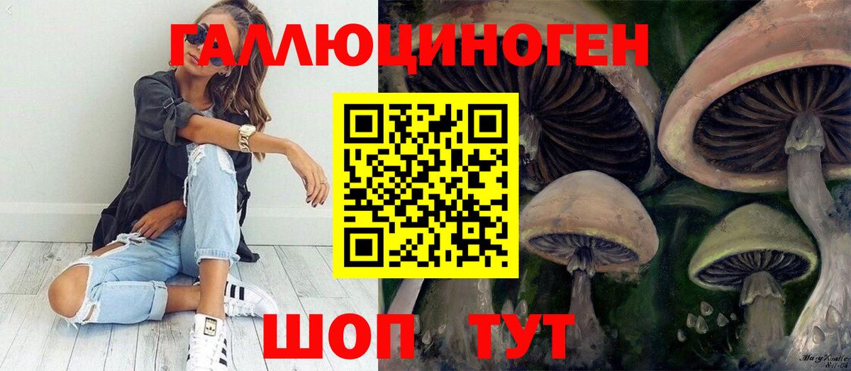 магазин продажи наркотиков  Вход с VPN  Галлюциногенные грибы Cubensis  Гурьевск  Псилоцибиновые грибы ЛСД 