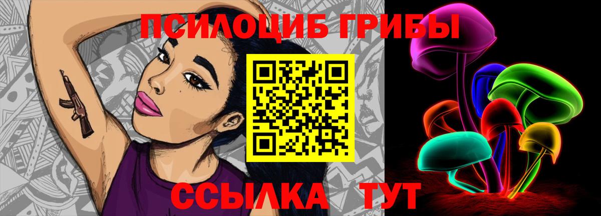 Псилоцибиновые грибы Magic Shrooms Гурьевск