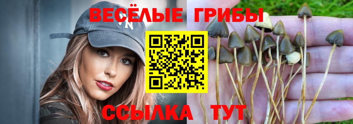 Псилоцибиновые грибы Magic Shrooms Гурьевск