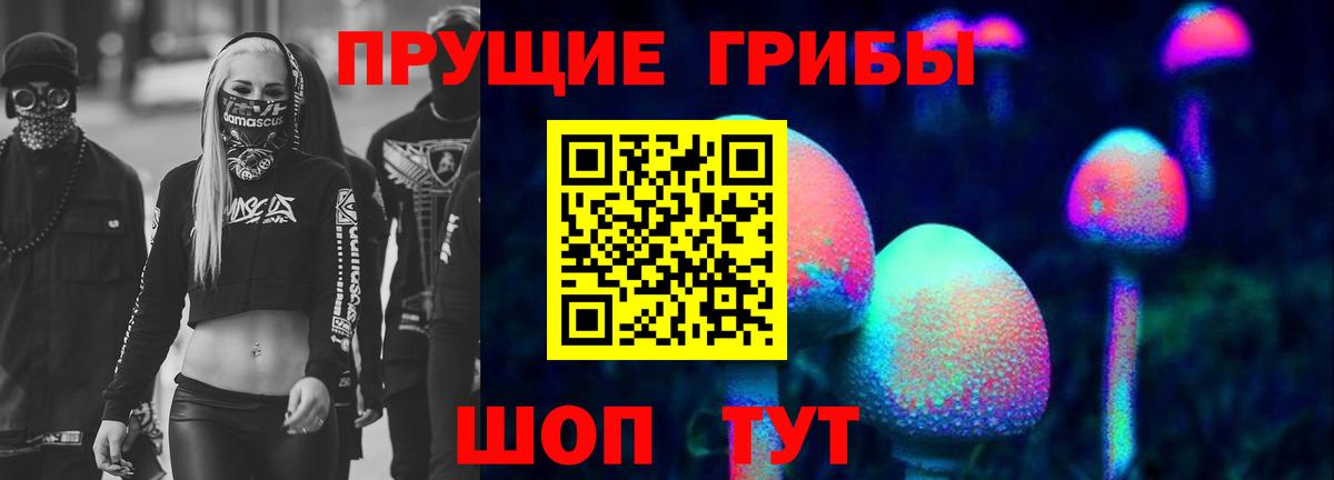 Псилоцибиновые грибы GOLDEN TEACHER  купить наркотики сайты  Гурьевск 